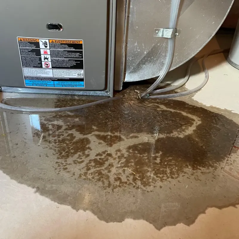 Appliance Leak Cleanup in Spencer, NC